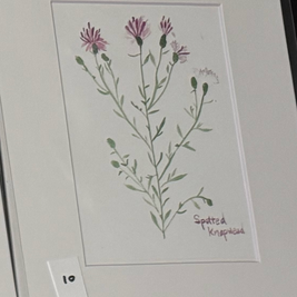 watercolor art prints
